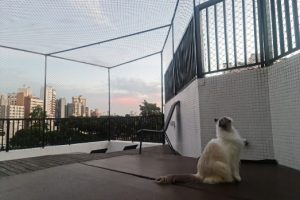 kids-protection-quinta-e-estruturas-metalicas1